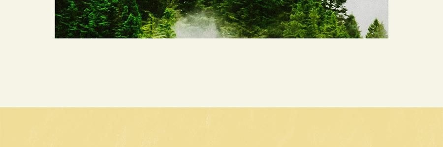 QILI其裡 車用香氛 清冷花香調 矽膠背夾易安裝 霧與蓮 3g*2