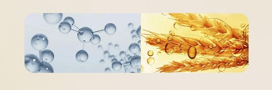 宋朝 香氛四季護手霜 50g #秋-月下桂影 瑩潤型 慕斯般乳霜 改善粗糙起皮倒刺