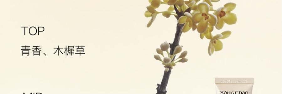 宋朝 香氛四季護手霜 50g #秋-月下桂影 瑩潤型 慕斯般乳霜 改善粗糙起皮倒刺