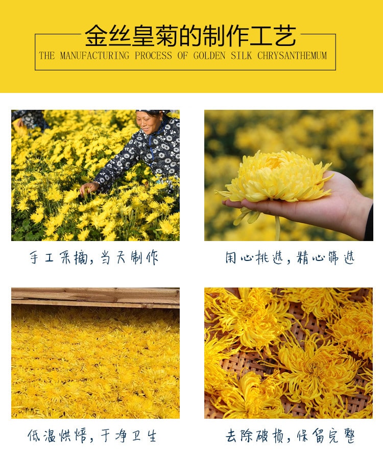 采悠山庄 黄山金丝皇菊罐装 大朵菊花茶 20g【降火祛燥 清肝明目】