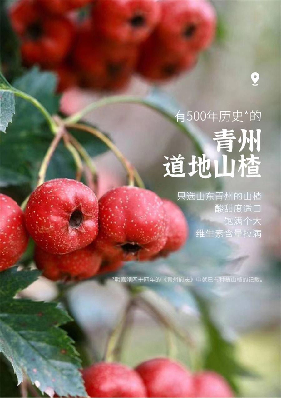 【中国直邮】 小羊森林 山楂麦芽茶儿童脾胃茶儿童宝宝酸甜解腻茶水茶包  122g/盒