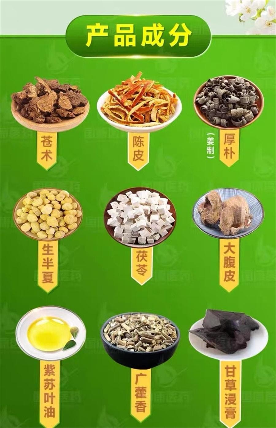 【中國直郵】太極 藿香正氣水 合劑汽水防中暑解暑腹瀉 10ml*10支/盒