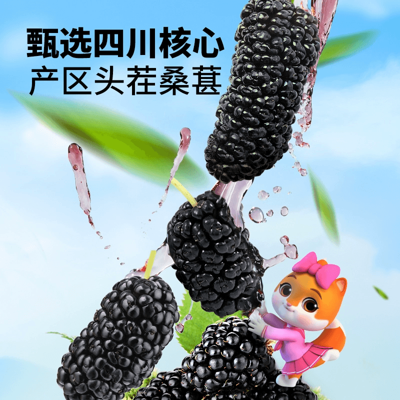 杞里香 凍乾黑桑葚泡水泡酒無沙無添加免洗250克*1罐