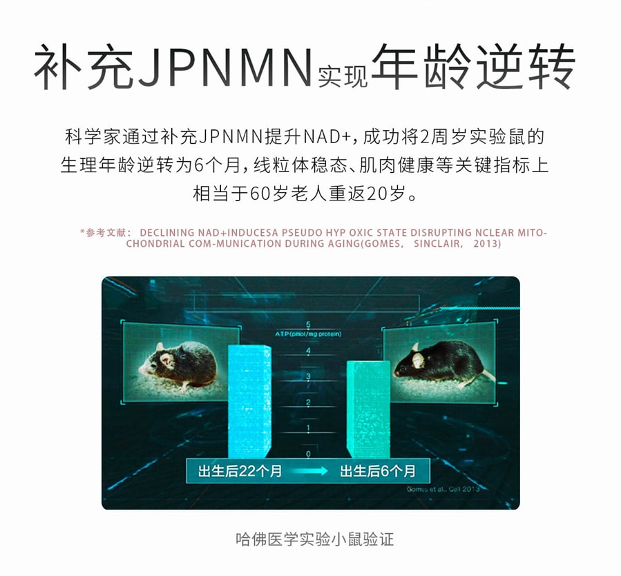 【日本直邮】AMARS JPNMN15000 免疫球蛋白逆龄抗衰基因修复美容养颜 60粒