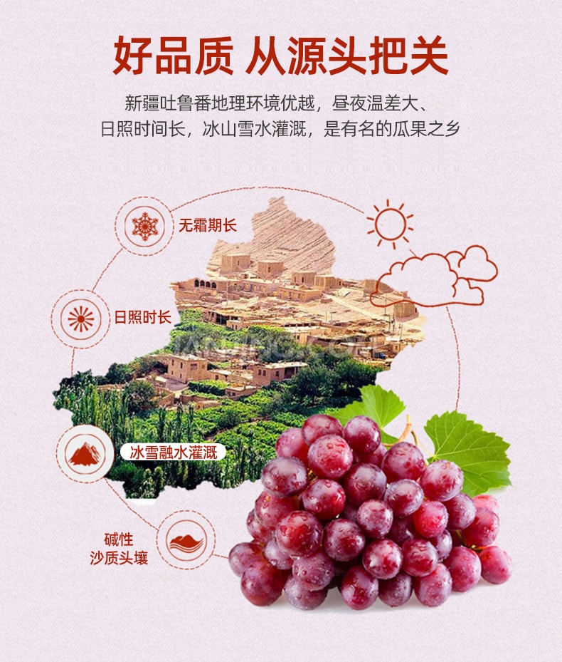 【中國直郵】一果傾城 玫瑰紅葡萄乾獨小包裝新疆特產特級提子乾250g/袋