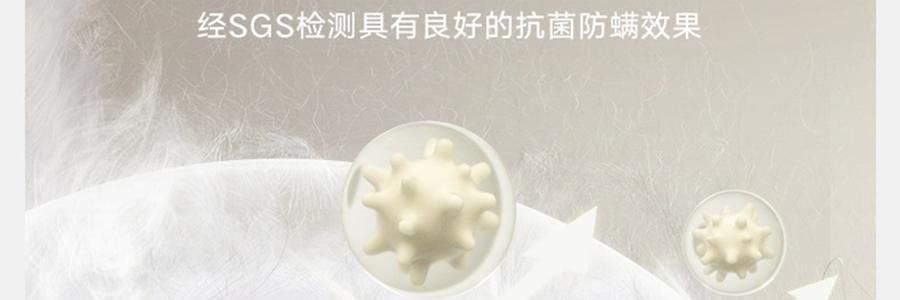 THE BEAST野獸派 家居熊貓嘭嘭針織棉被 春秋被加厚保暖冬被 200x230cm