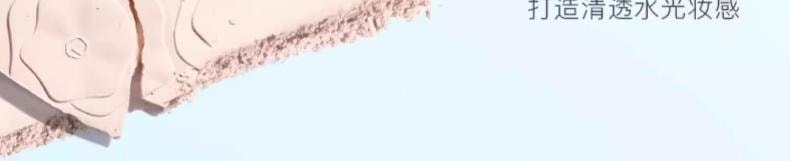 Light And Shadow Blending Palette 17g #01