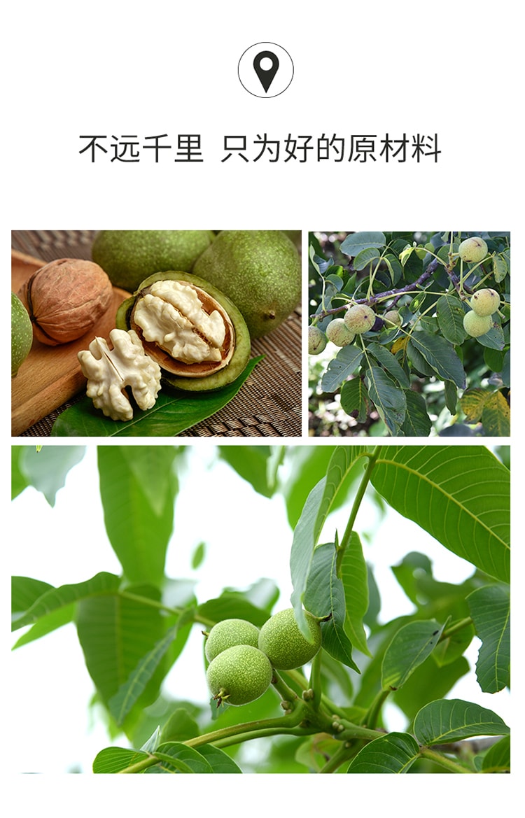 [China Direct Mail] BE&CHEERY Honey Amber Walnut 100g