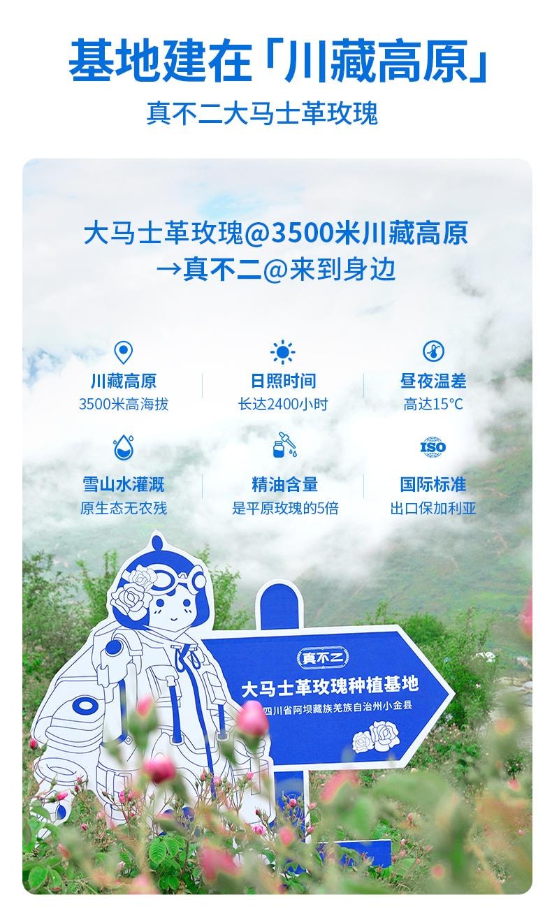 【中國直郵】 真不二 大馬士革玫瑰熱灸足貼 艾草暖腳貼暖足貼 5對/盒