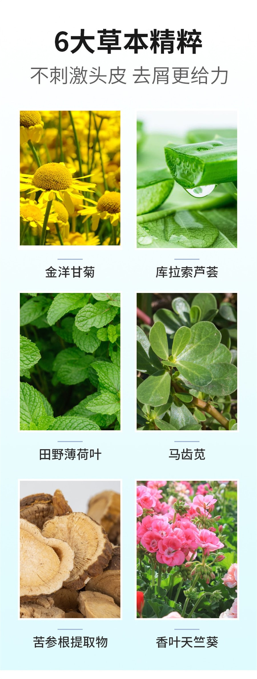 【中國直郵】南京同仁堂 二硫化硒去屑洗髮水頭皮清爽蓬鬆控油持久留香通用 300ml/瓶