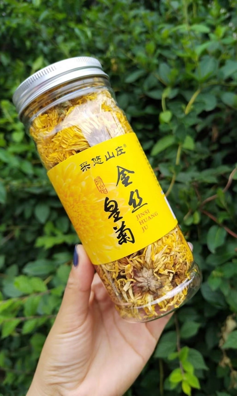 采悠山庄 黄山金丝皇菊罐装 大朵菊花茶 20g【降火祛燥 清肝明目】