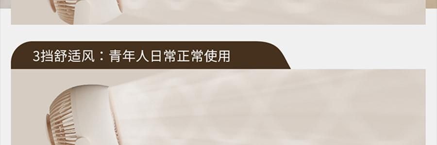 向物SOTHING 桌面循环扇 小风扇 夏日清凉小物 漩凉 续航版