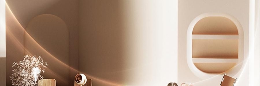 向物SOTHING 桌面循环扇 小风扇 夏日清凉小物 漩凉 续航版