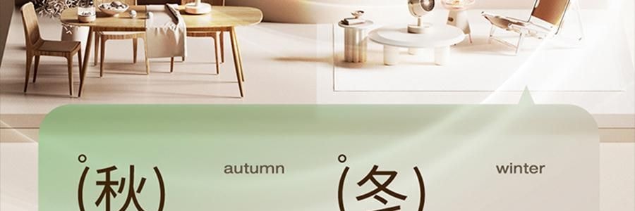 向物SOTHING 桌面循环扇 小风扇 夏日清凉小物 漩凉 续航版