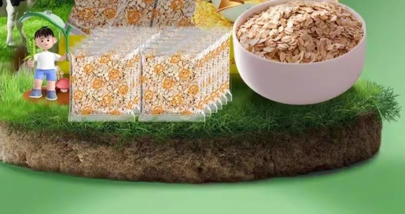 世壮 【超级爆款】农科院出品  燕麦片(速溶)300g 速溶代餐粉 日常早餐减肥减脂食品 降血脂日常饮食食品保健品【快速冲泡一杯营养餐】