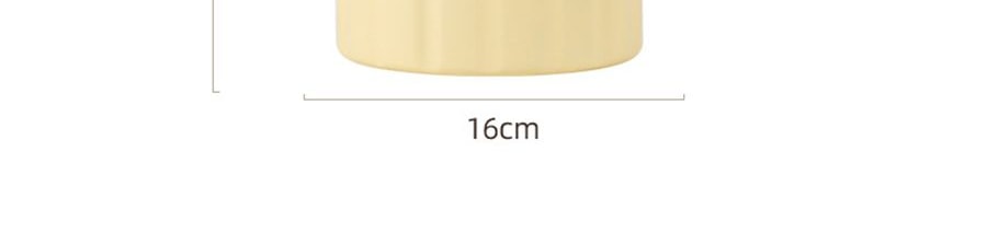 炸炸壶 多功能小型油炸桶 油炸锅 3L