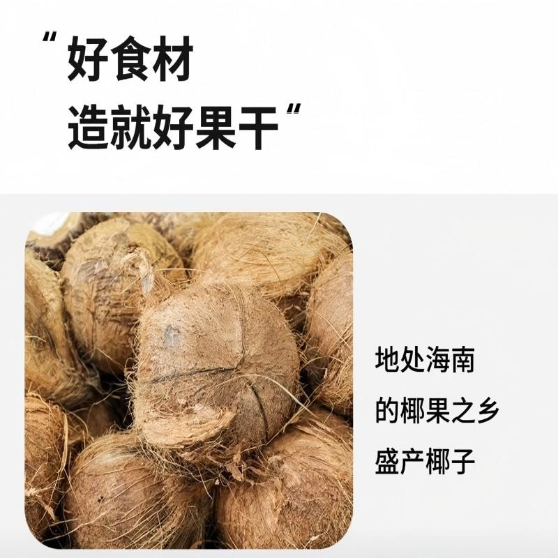 【中國直郵】 新邊界 椰子脆片海南特產原味椰子片即食零食烤椰子肉薄脆椰果乾食品小吃休閒零食200g