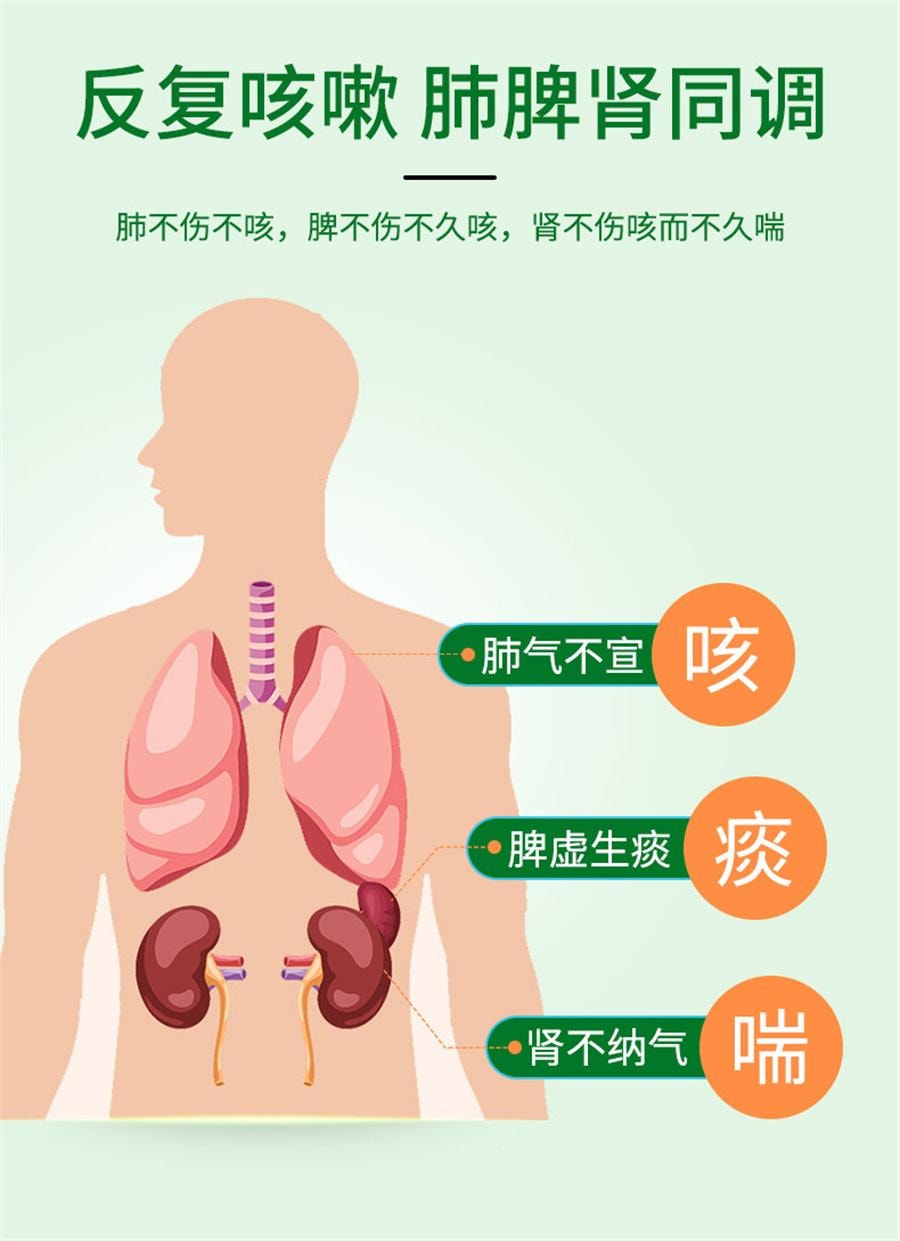 【中国直邮】 中国药材 虫草清肺胶囊 支气管炎咳嗽药化痰止咳润肺消炎24粒/盒
