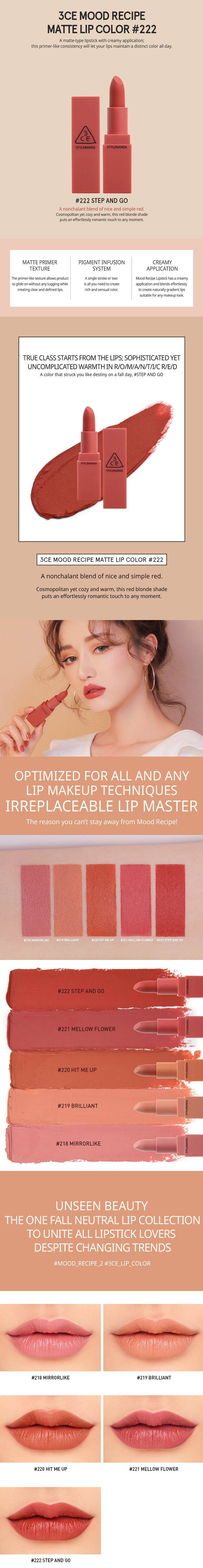 Mood Recipe Matte Lip Color #222 (Step and Go)