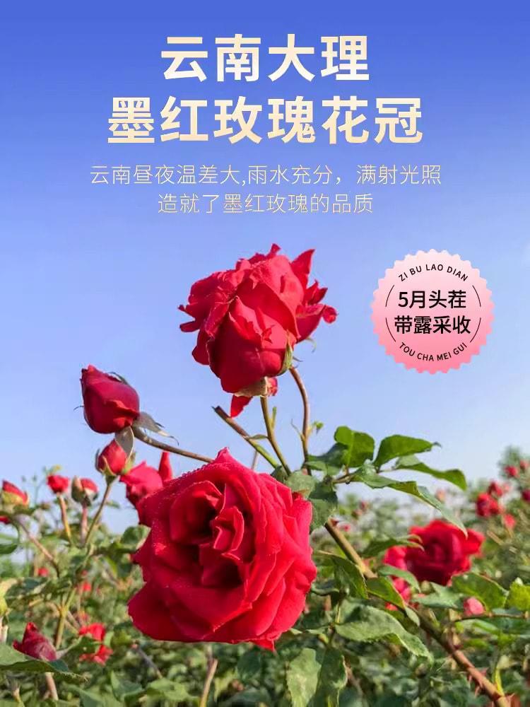 中国 滇二娃 花青素之王 刘亦菲美颜茶 墨红玫瑰 当季特级云南冻干大花冠 可冷泡热泡 可配果茶  农科院支持 一杯一朵花 30克