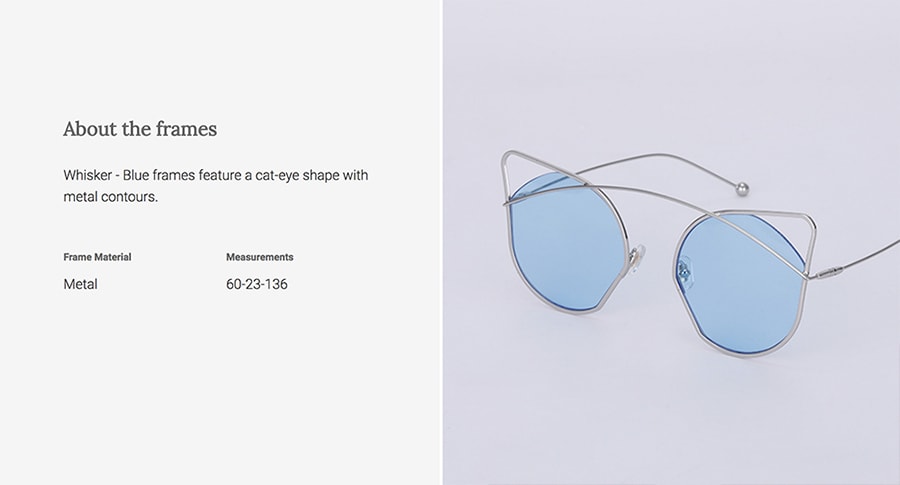 DUALENS 时尚防紫外线太阳镜 -    蓝色 (DL85022 C4)