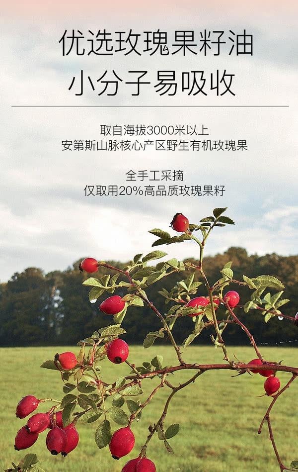 【香港直邮】 新西兰 萃乐活 有机认证玫瑰果精油 以油养肤  重塑屏障 45ml