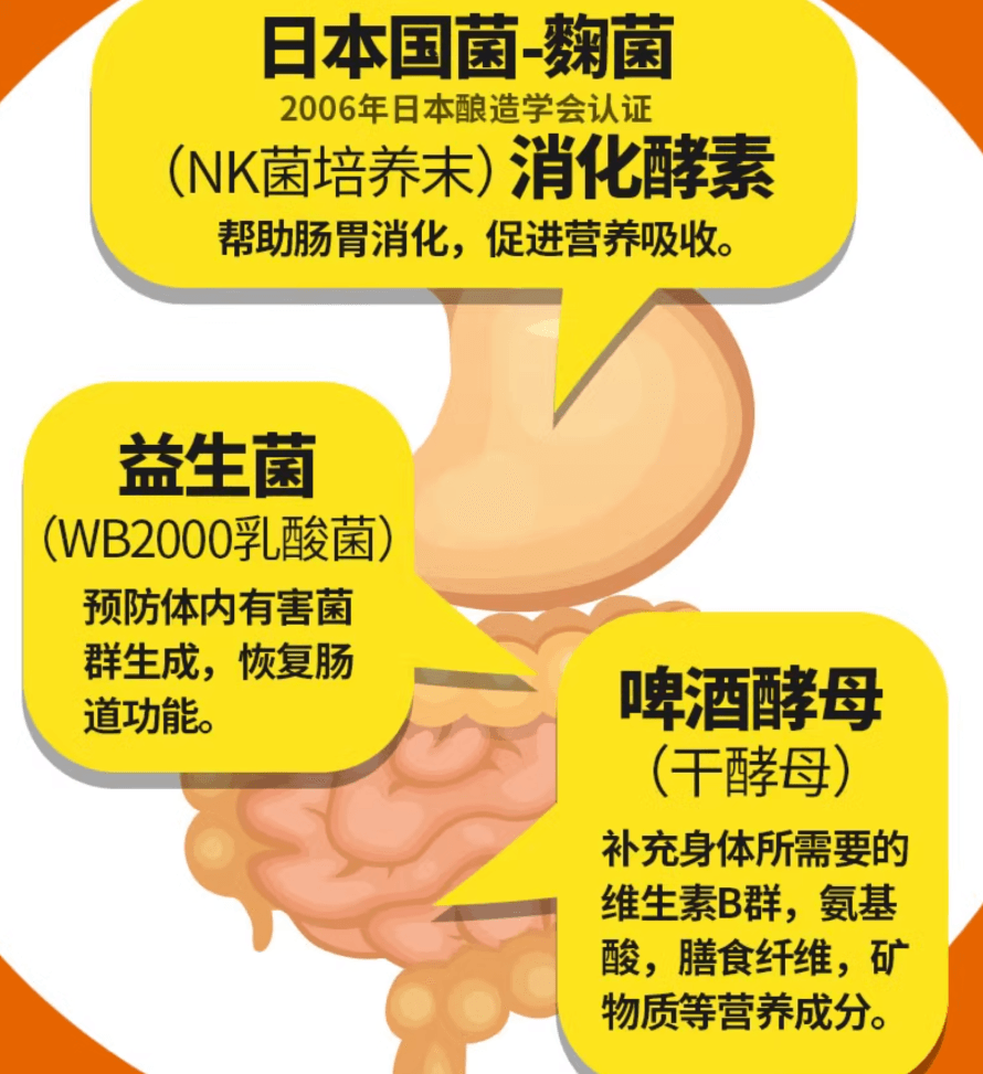 【日本直效郵件】WAKAMOTO強力若素酵素益生菌片腸胃健胃整腸乳酸菌1000粒