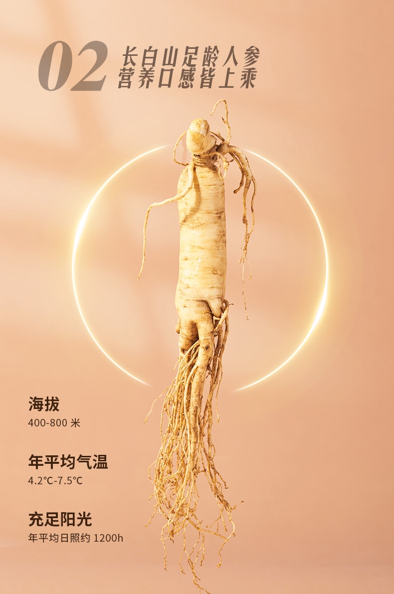 采芝林 蜜制鲜人参段 罐装60g/12包 0添加健康零食 补气滋补元气人参蜜片 即食鲜人参
