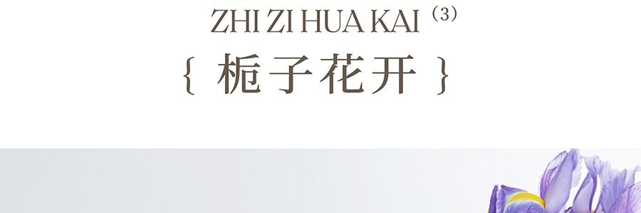 宋朝 繁花之境系列 无火香薰 栀子花开 清新花香调
