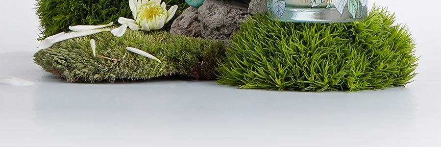 宋朝 繁花之境系列 无火香薰 栀子花开 清新花香调