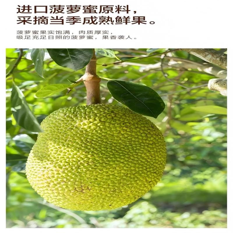 【中國直郵】 來伊份 菠蘿蜜脆果蔬脆水果乾辦公室菠蘿密特產小吃零食 菠蘿蜜脆16g*2