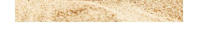 BC BABYCARE 儿童益智玩具 玩沙玩水玩雪道具 海洋动物造型 沙滩玩具套装