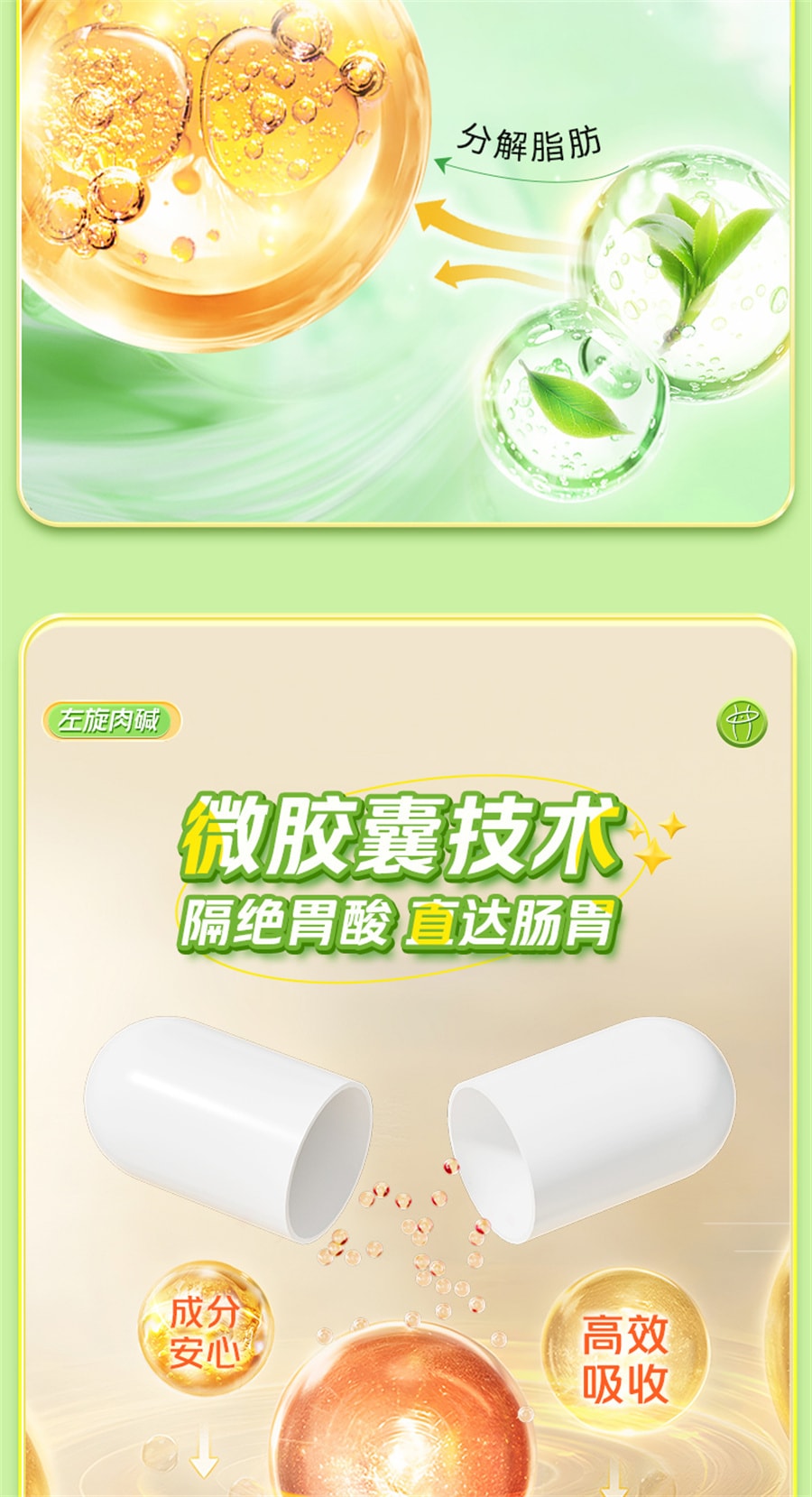 【中國直郵】 北京同仁堂 左旋肉鹼茶多酚膠囊減肥排油燃脂瘦身左旋肉鹼減肥專用 40粒/罐