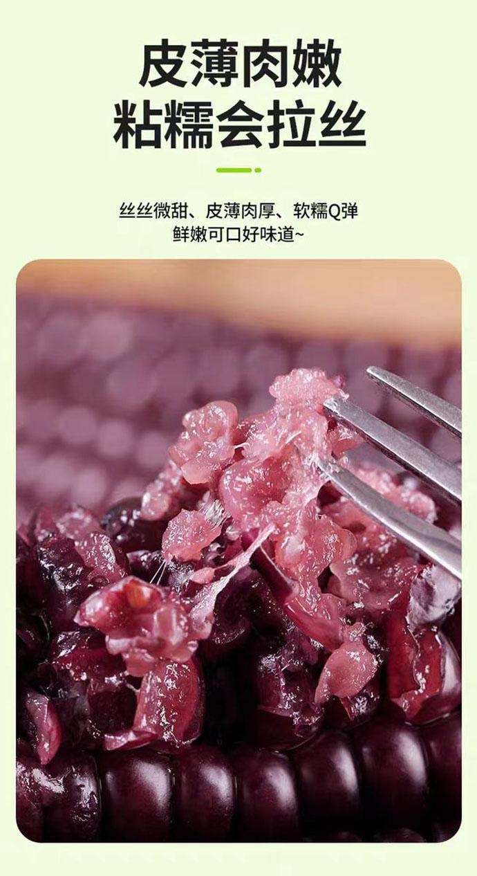 【中國直郵】 傣小瓜 雲南西雙版納 紫薯拇指玉米 0添加 500g*1袋