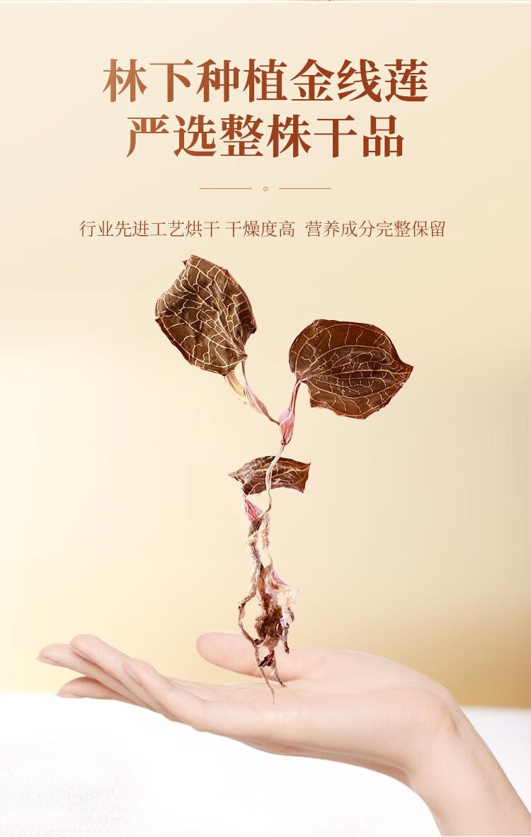 【中国直邮】  半山农【整株】金线莲  养生肝茶 熬夜上火 可煲汤泡水 10g
