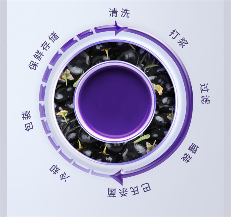 【中國直郵】百瑞源果小凡黑枸杞原漿青海花青素汁 調和款210ml*2盒