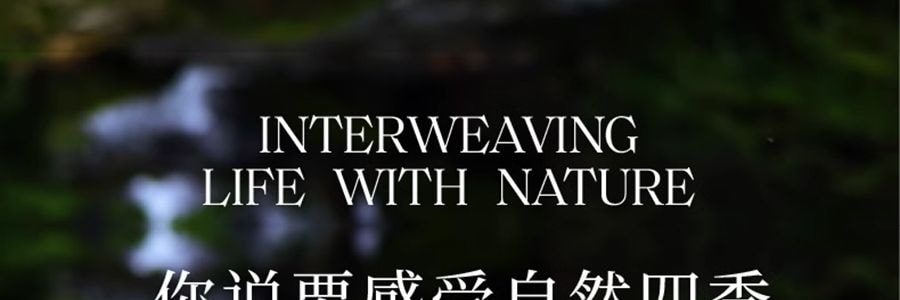 宋朝 四季闲庭系列扩香石摆件 送礼好物 高级香氛 晶韵檀香·檀香木质调 容器*1 扩香石*1袋 精油*2 干花*1包