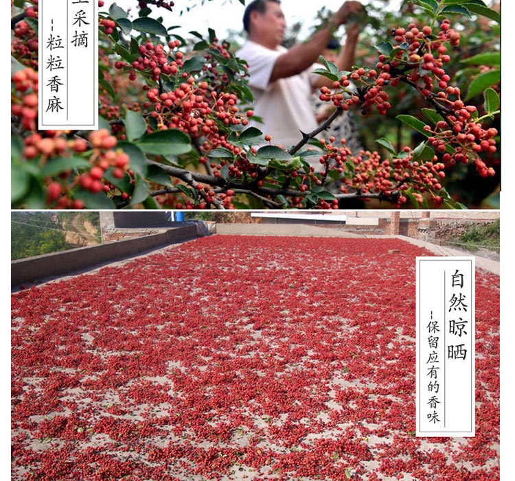 SUNWAY 特級紅花椒 50克