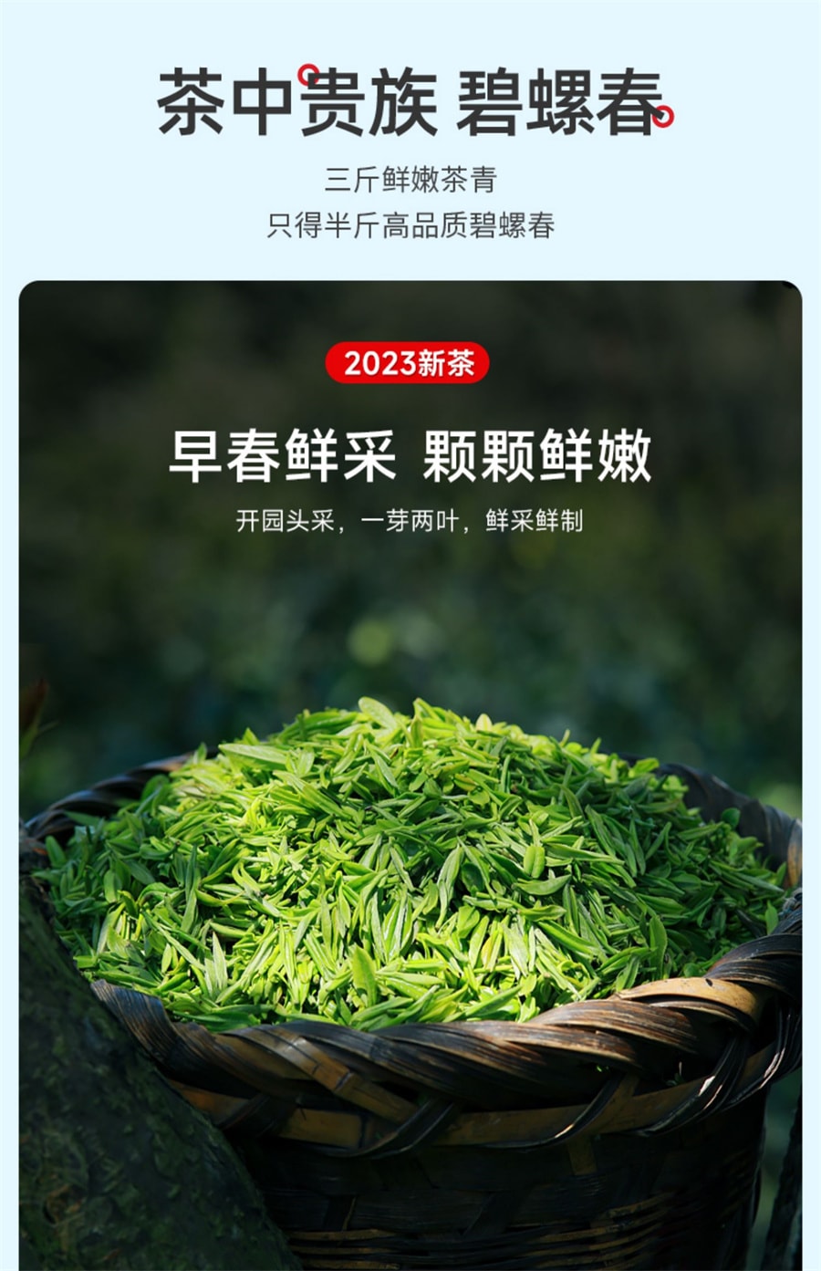 【中國直郵】樂品樂茶 明前特級綠茶碧螺春2023新茶茶葉自己喝送禮 250g