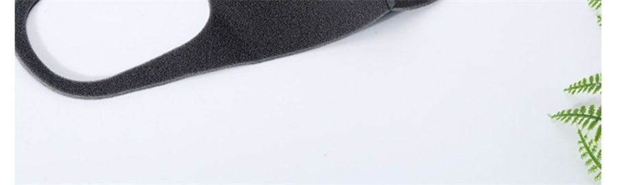 【日本直邮】日本 PITTA 口罩 明星同款 3D立体 立体防尘防花粉  透气性好 浅灰色 3枚