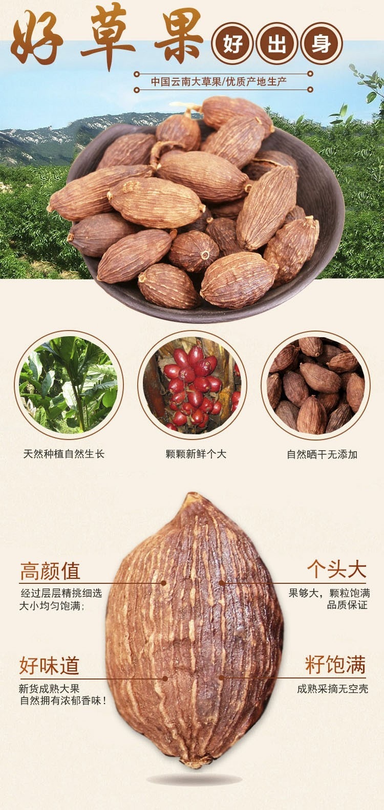 Sunway 信威 特級草果 70g 香料大料