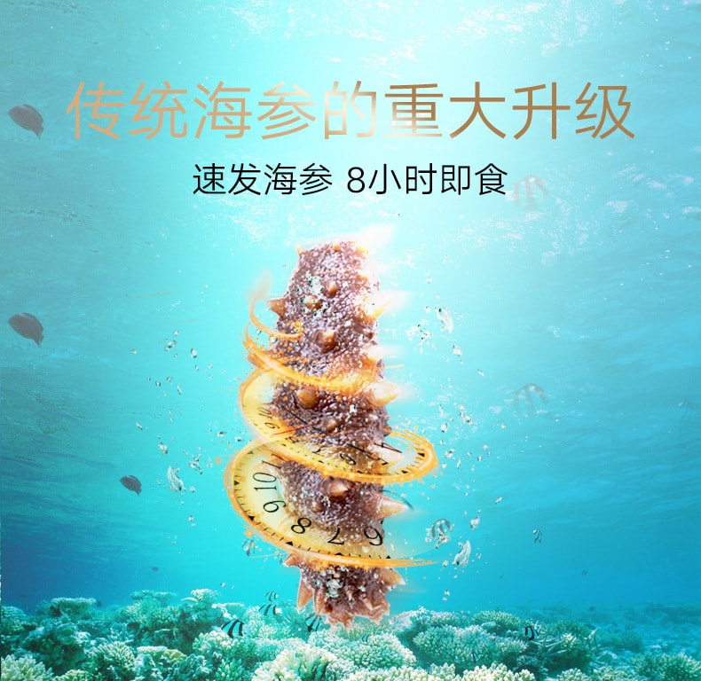 Dried Sea Cucumber Hai Shen 16g