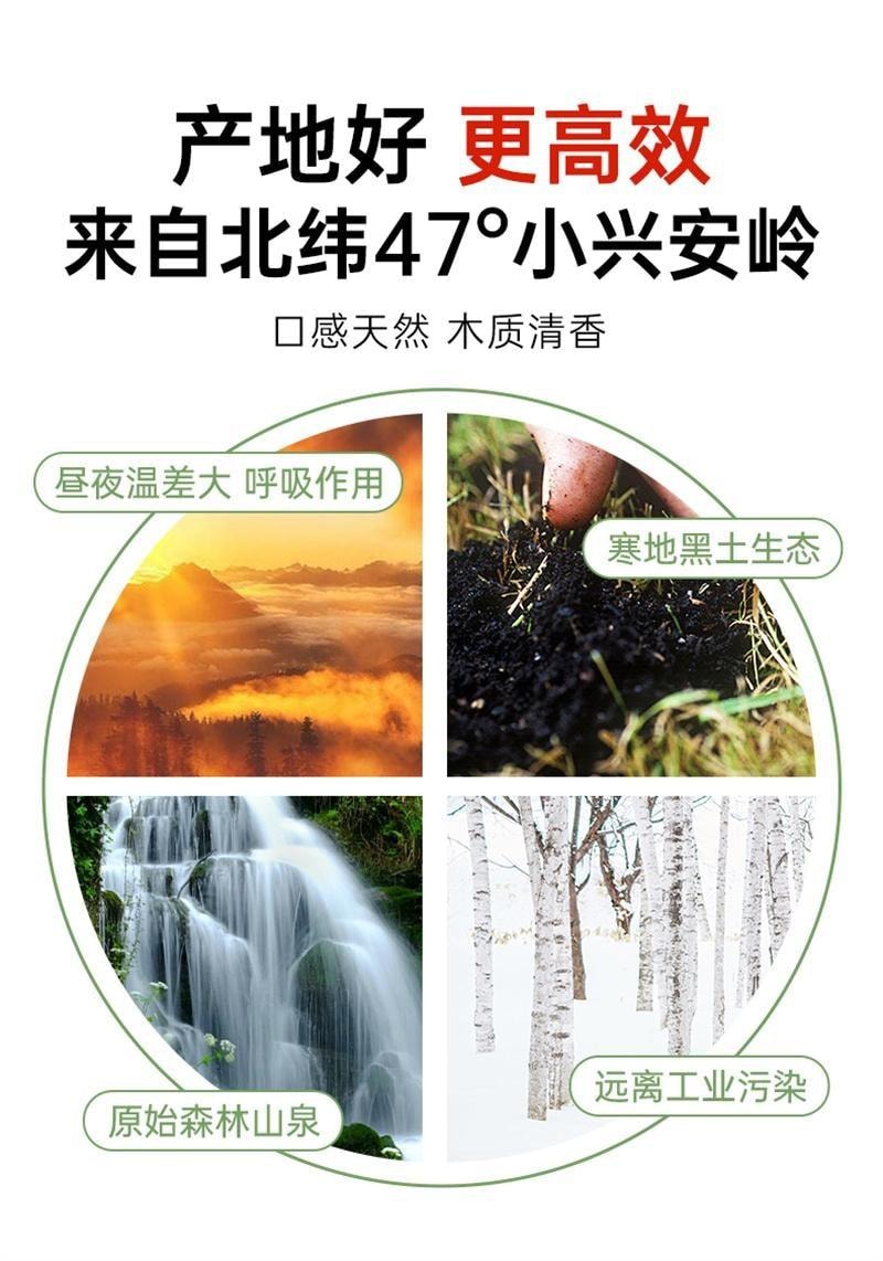 【中国直邮】 养益君 天然白桦树汁原液 100%原汁 美容护肤 抗氧化 预防高血压 降低血糖 300ml/盒