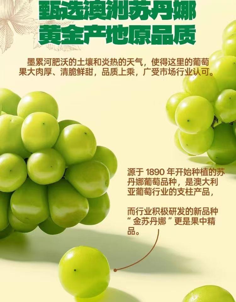  小鹿蓝蓝 金苏丹娜澳洲金提干 免洗葡萄干 果中精品 树上风干 无熏硫 70g 7小袋单独分装