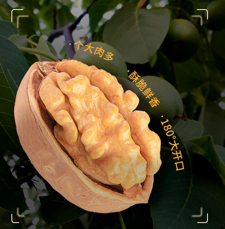 好想你 正宗新疆阿克蘇產區 特級 薄如紙皮手剝核桃仁 200克 當季手摘 特級小產區 吃出幸福感