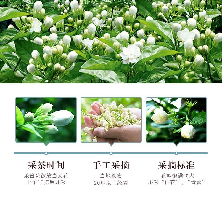 【中國直郵】 福東海 茉莉花 (當季新鮮頭採)橫縣三伏 花草茶 泡水喝 養生茶飲 120g