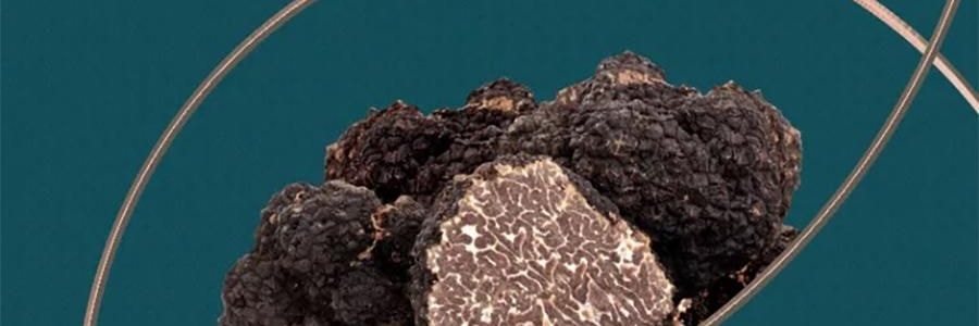 广州酒家 黑松露流心月饼礼盒 10枚入 500g 【黑松露流心*5+黑松露流心奶黄*5】【短保效期特别促销 介意慎拍】