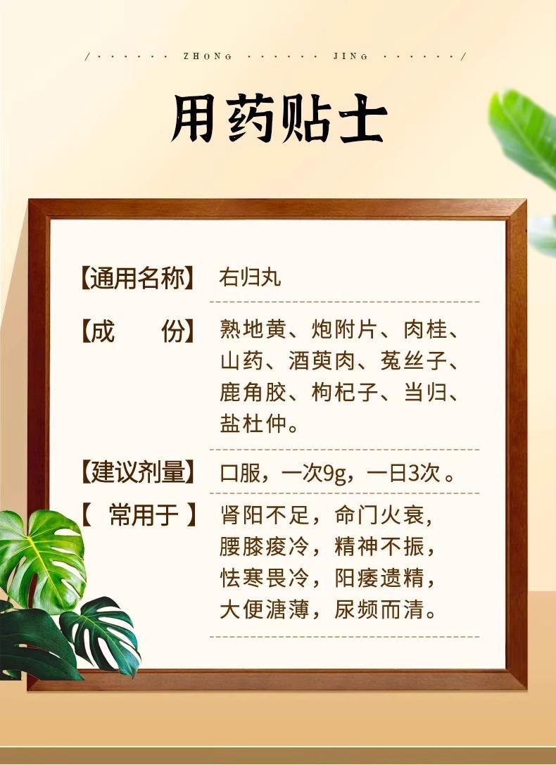  仲景 右歸丸 45g*1瓶/盒 補腎壯陽 補腎陽 填精治腎虧 畏寒手腳冰冷男人再也不擔心戰鬥力【好藥材才能創造好藥】