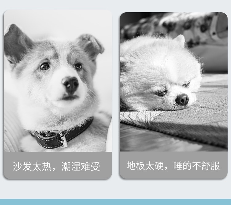 【中国直邮】尾大的喵 宠物冰垫 大骨头图案M码 夏季睡垫 宠物用品
