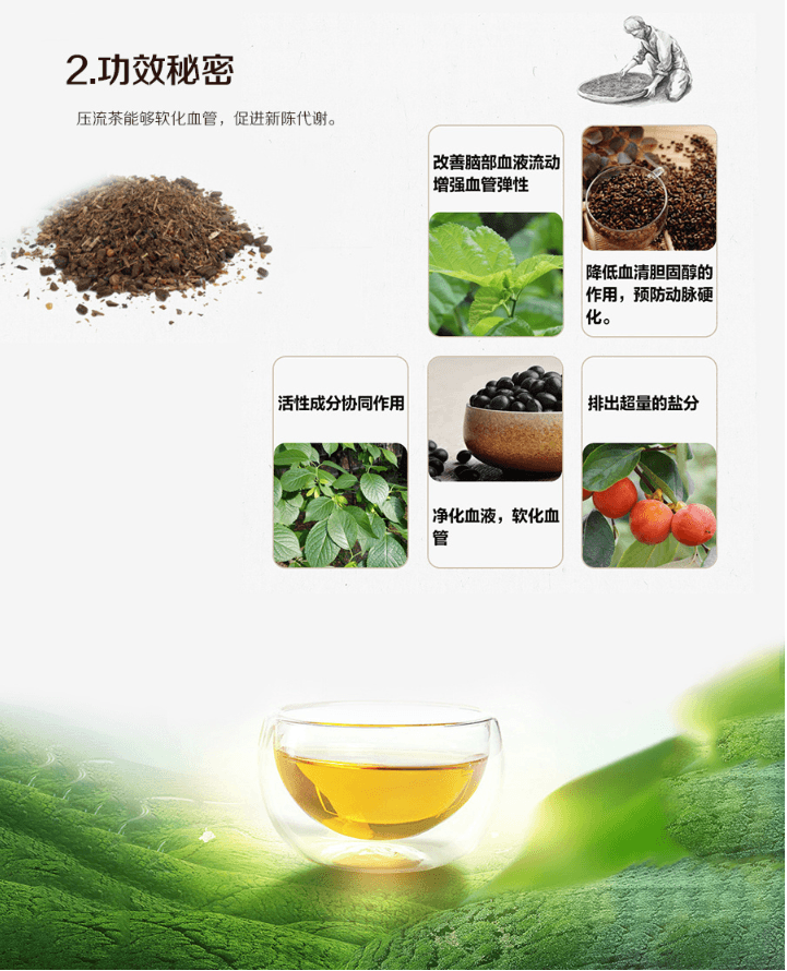 【日本直邮】日本山本汉方制药 压流茶 10g*24包入